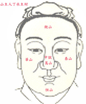 Image4.jpg (33561 bytes)