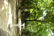 Untitled-Scanned-54.jpg (29502 bytes)