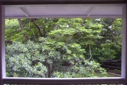 Untitled-Scanned-20.jpg (27939 bytes)